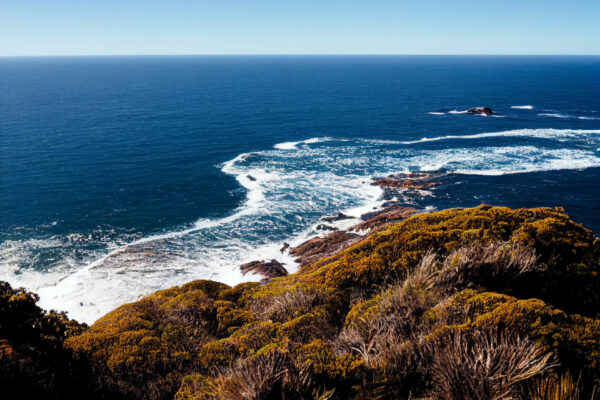 PennQuinnDad_a_clifftop_view_of_the_ocean_in_Western_Tasmania__3c8fd27c-40a4-45ee-bbc1-0a18f8c00a68